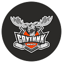 Лого Спутник